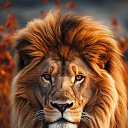 ���� �����, �������� - ��������� 27 ��� 2026 � ������ ���� ����������