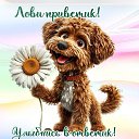���� �������, �����-���������, 68 ��� - ��������� 17 ������� 2025 � ������ ���� ����������