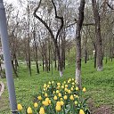���� �����, ������������, 59 ��� - ��������� 10 ��� 2025 � ������ ���� ����������