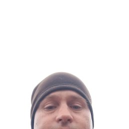 , 34,  