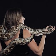 , 35 , 