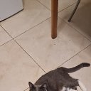 ���� ����������, �����-���������, 68 ��� - ��������� 23 ������ 2024 � ������ ���� ����������