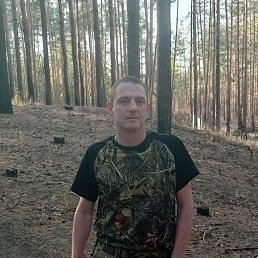 , 37, 