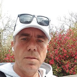 , 52, 