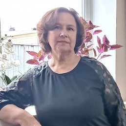 �����, ���������, 66 ���