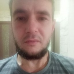 �����, ���, 37 ���