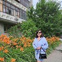 ���� �����, ���������, 54 ���� - ��������� 19 ���� 2026 � ������ ���� ����������