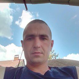 ������, 33 ����, ������