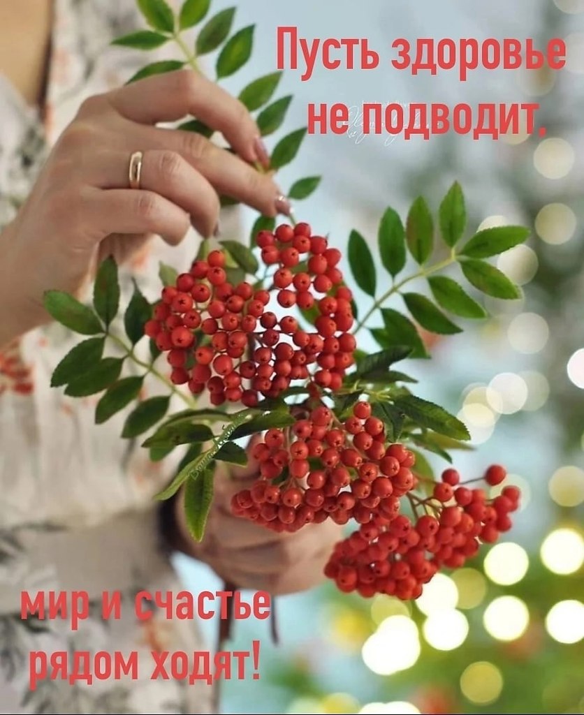   ,    . - 29  2025  12:44