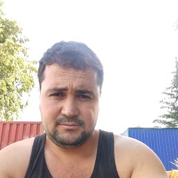 , 29, 