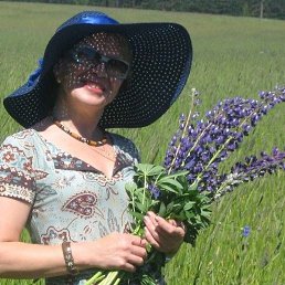 �����, ������, 69 ���