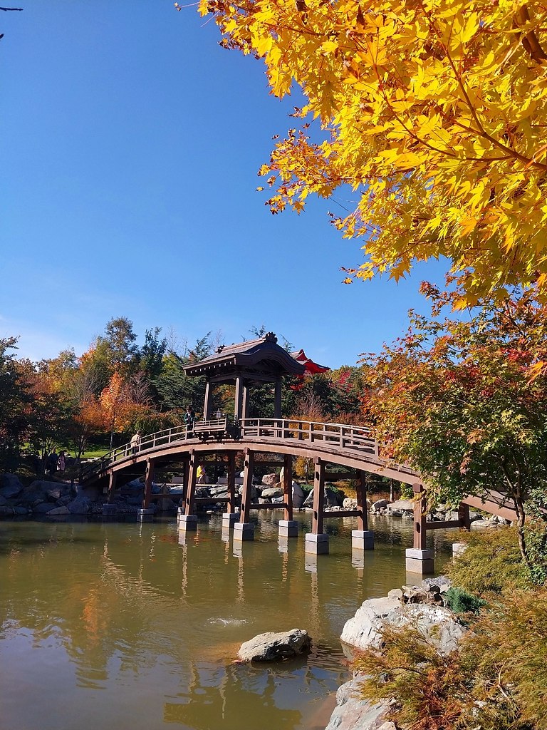 paca oce  oco ca  pacoape. - 2