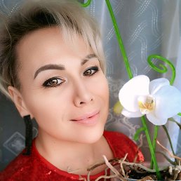 ��@�@ ����, �����, 53 ����