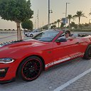 ���� �������, ����, 32 ���� - ��������� 12 ���� 2024