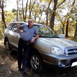 ����, ���������