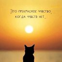  ,  , 52  -  17  2025