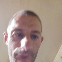 , 41, 