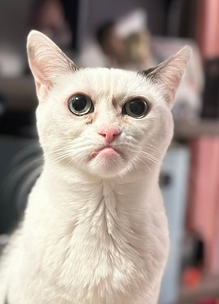 :      ... ,          ...