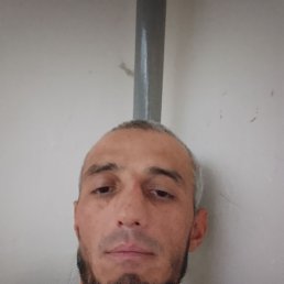 , 33, 