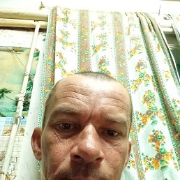 , 43, 