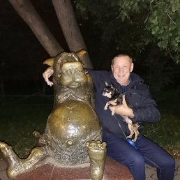 , 61, 
