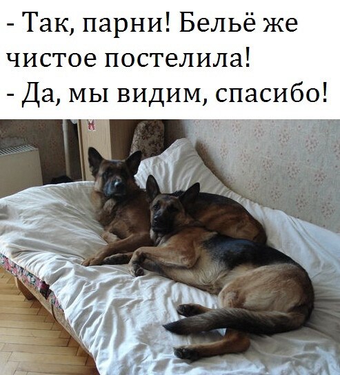   - 6  2025  15:43