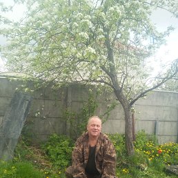 , 53 , 