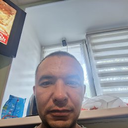 , , 