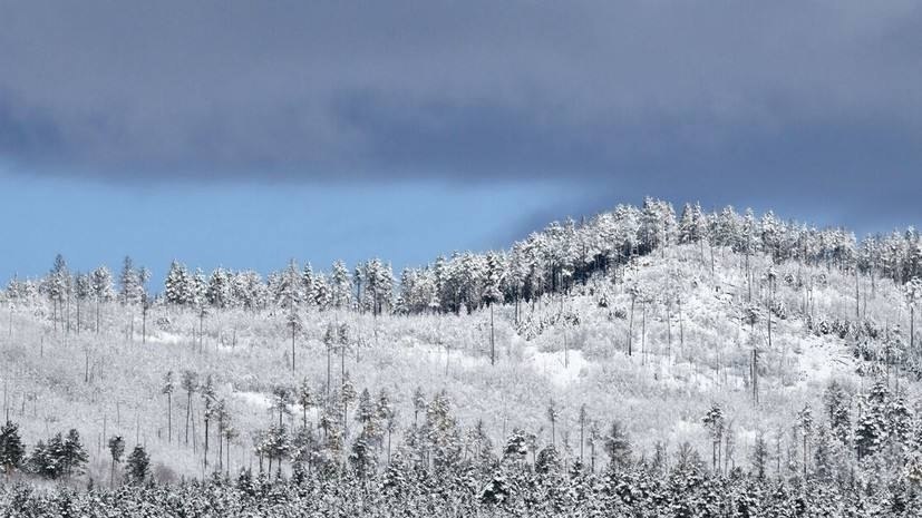 ������ ������ ������ � ������ ������ �� 95% ���������� ������. ��������� ��������, ��� ��������� ... - 2