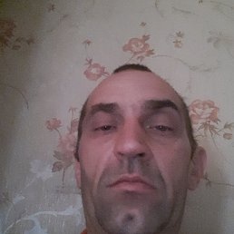 , 41, 