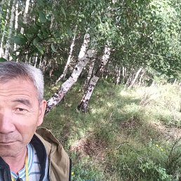 , 54, 