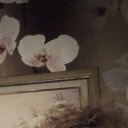 ���� Nika, ������ - ��������� 17 ��� 2025 � ������ ���� ����������