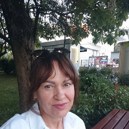 , 54, 