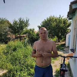 , 47, 