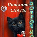 ���� ����, ������������, 49 ��� - ��������� 18 ��� 2026 � ������ ���� ����������
