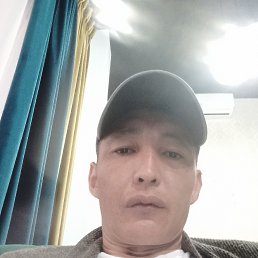 , 37, 