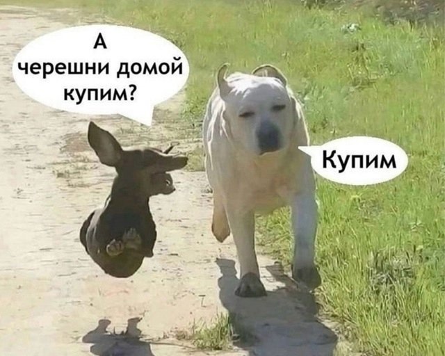 ,     - 3