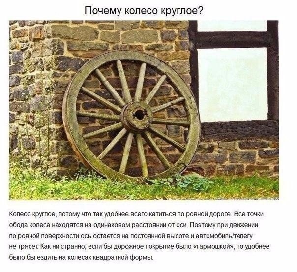    ,    . - 6