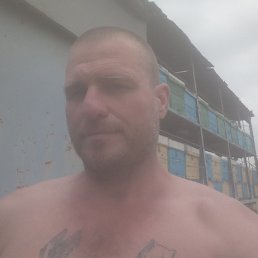 , 41, 