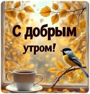 ���� - 13 ������ 2025 � 07:27