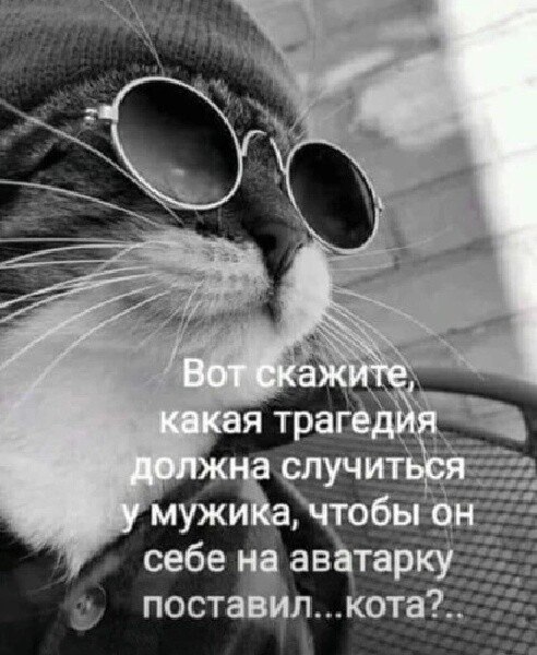 ***Victoria Viktorovna*** - 16  2024  07:11