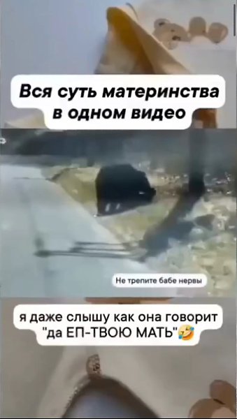��� ���� ����������� � ����� ������