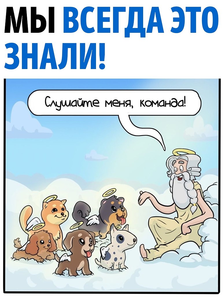 Стихи последние милей