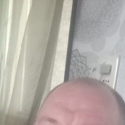 , 41, 