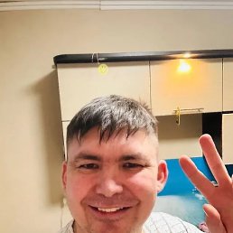 �����, ����������, 41 ���