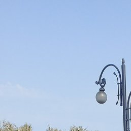 ���������, ���������, 56 ���