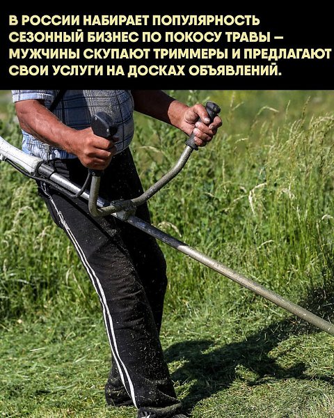 Некоторые берут заказы на покос травы только по выходным, другие работают с полной загрузкой. ... - 2