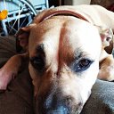 ���� ��������, ������������ - ��������� 10 ������� 2025 � ������ ���� ����������