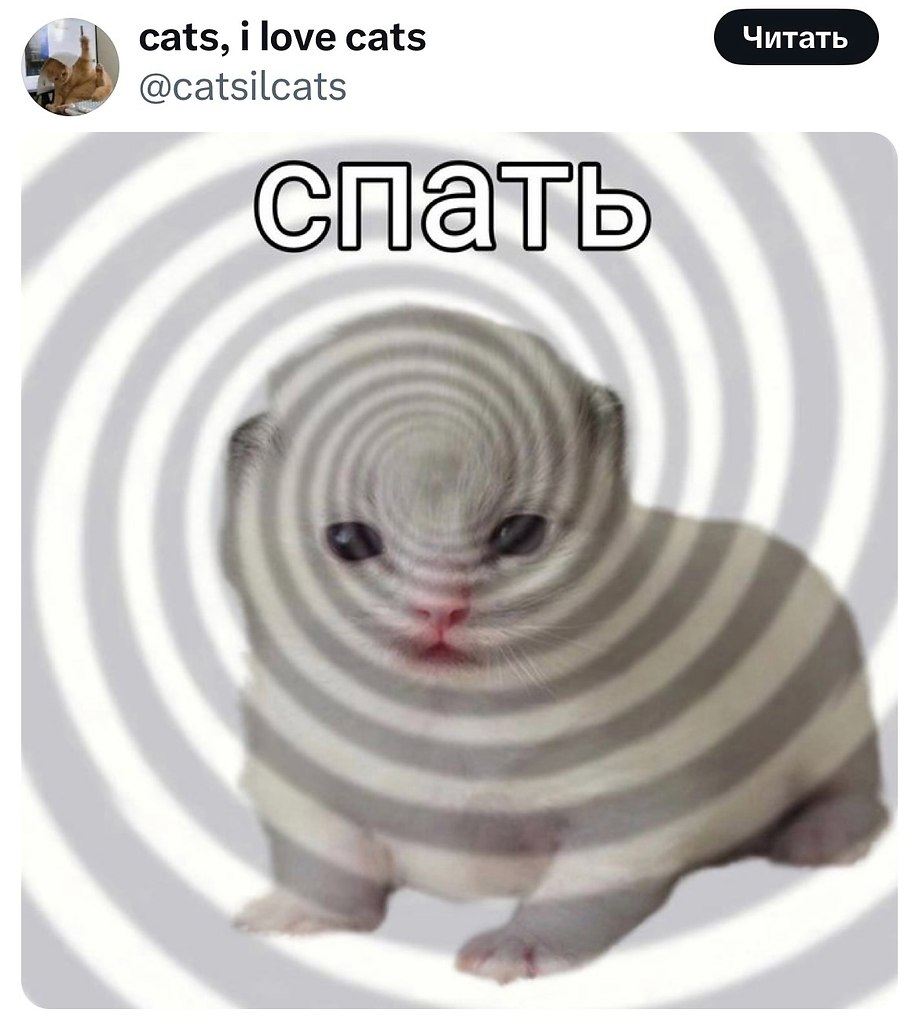 ���� - 26 ���� 2025 � 01:22