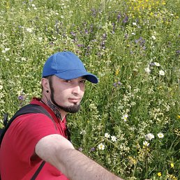 ����������, ������, 36 ���